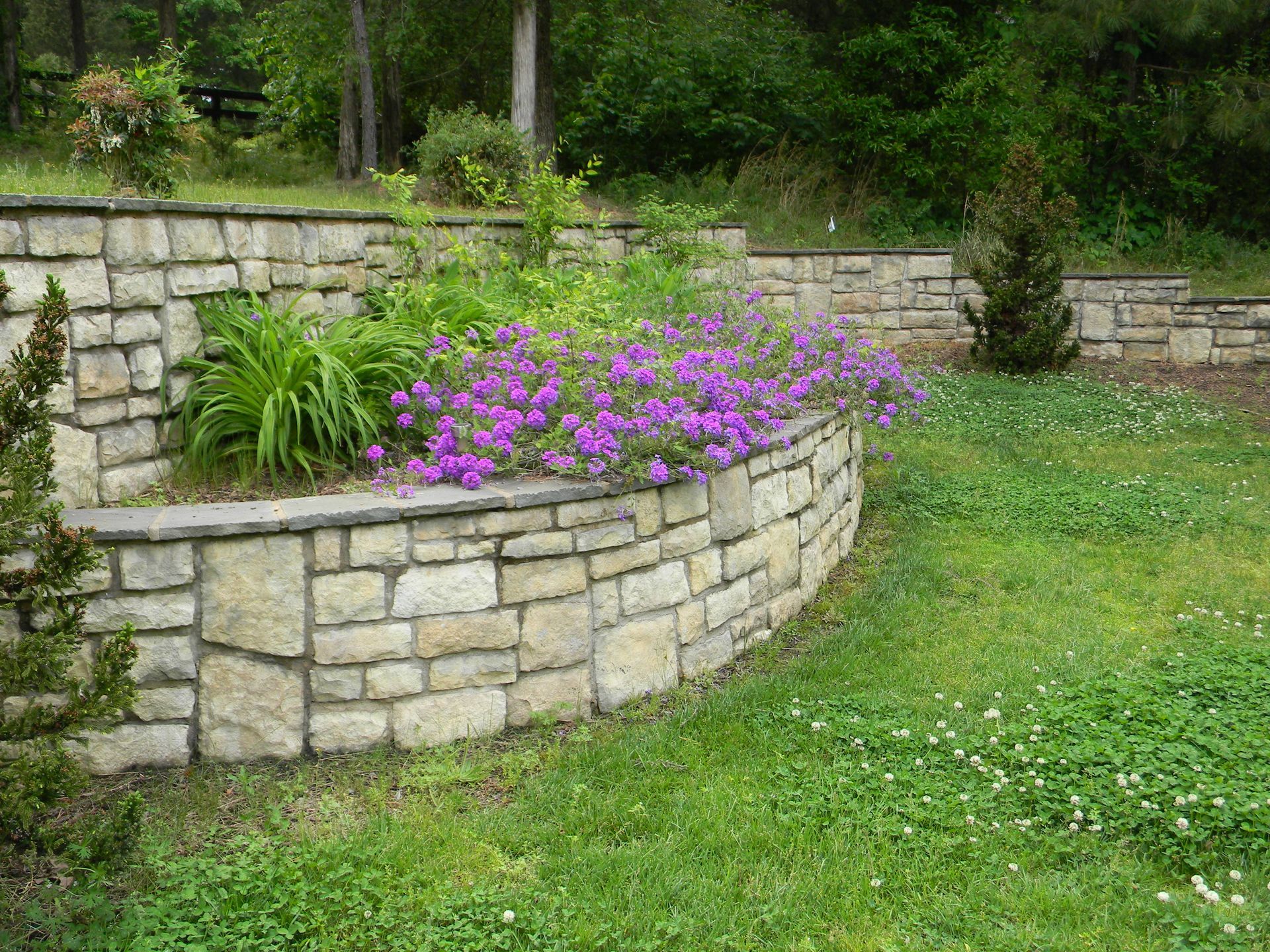 charlotte landscaping companies
