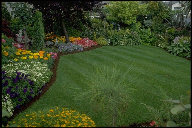 A lush green lawn surrounded by flowers and bushes