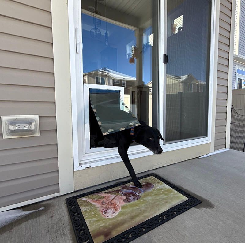 A dog is running through a dog door in a glass door