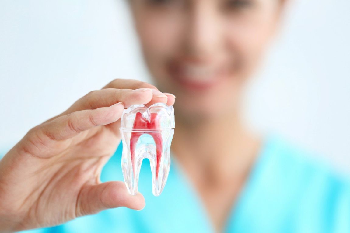 dentista con modello di dente trasparente