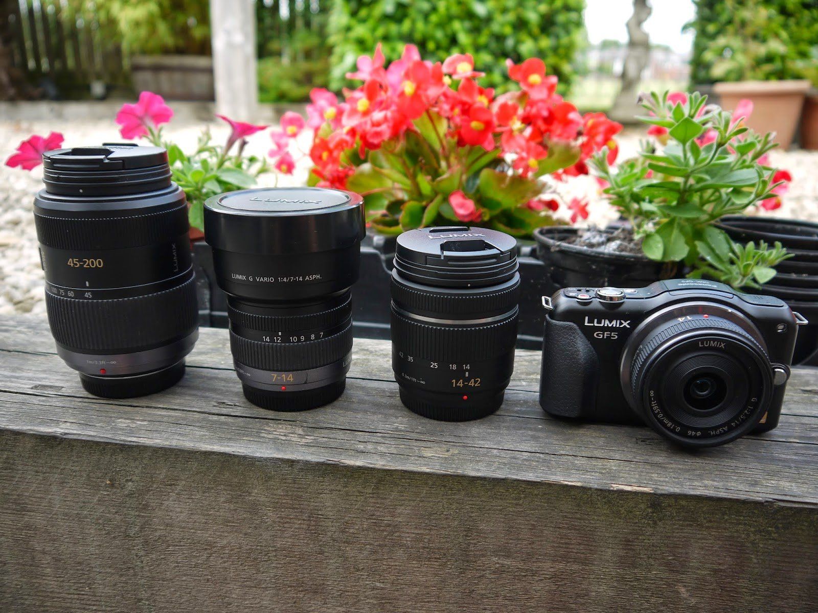 Line up of Micro 4/3rd's lenses  45 - 200 zoom, 7 - 14 wide, 14 - 42 standard and the 14mm fixed focal lenses.