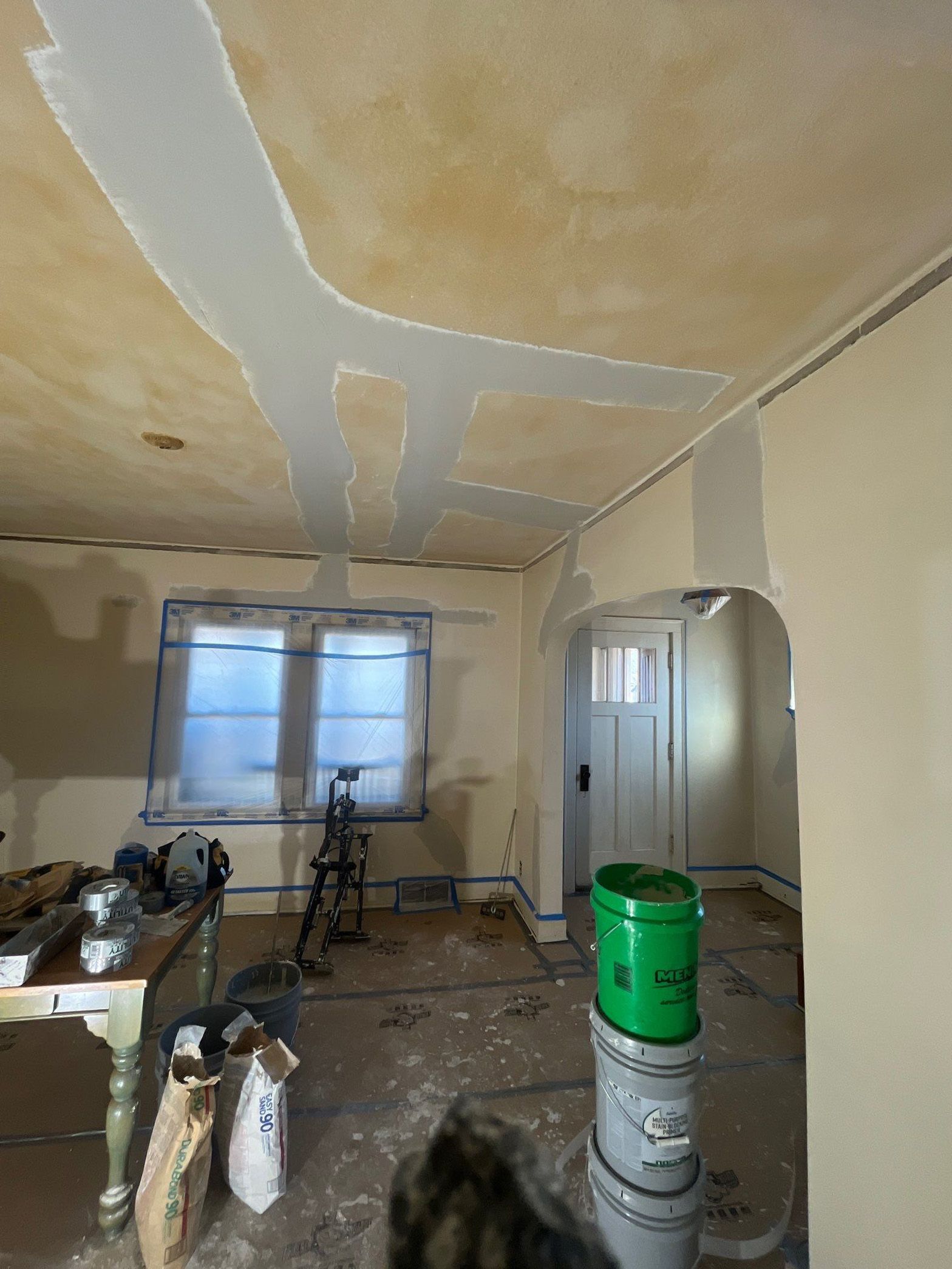 A cat is standing in a room with buckets of paint.