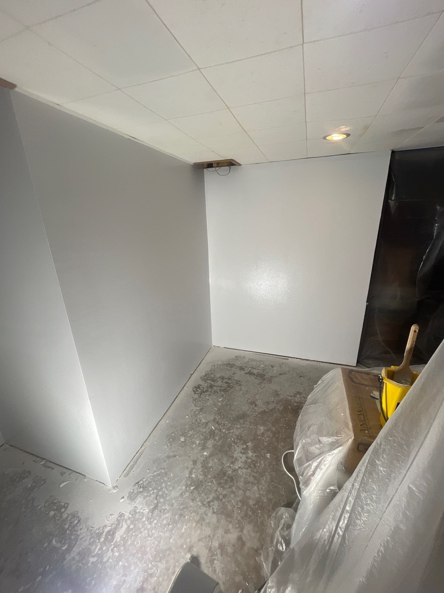 A room with white walls and a black door is being painted.