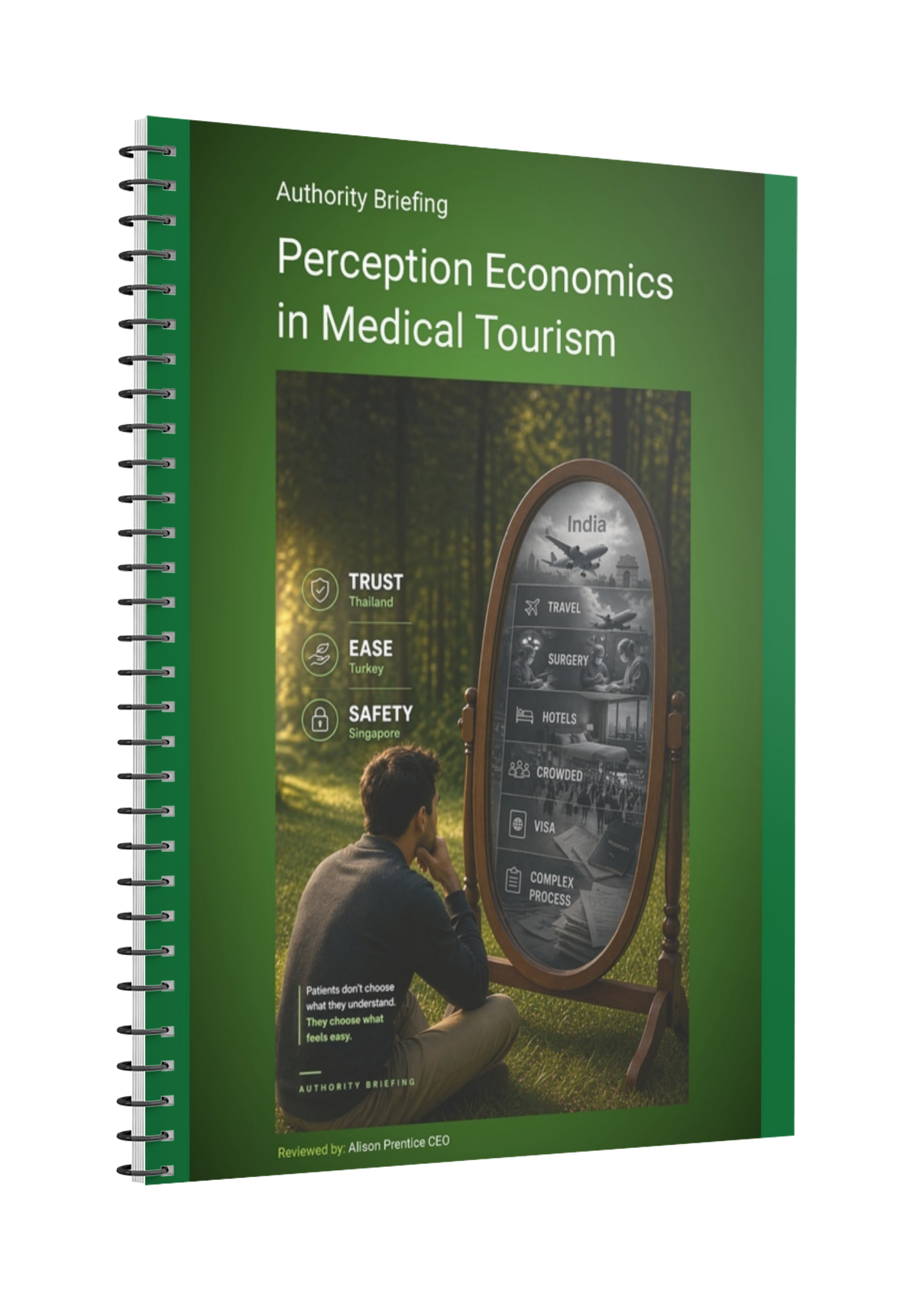 image cover of perception economics briefing