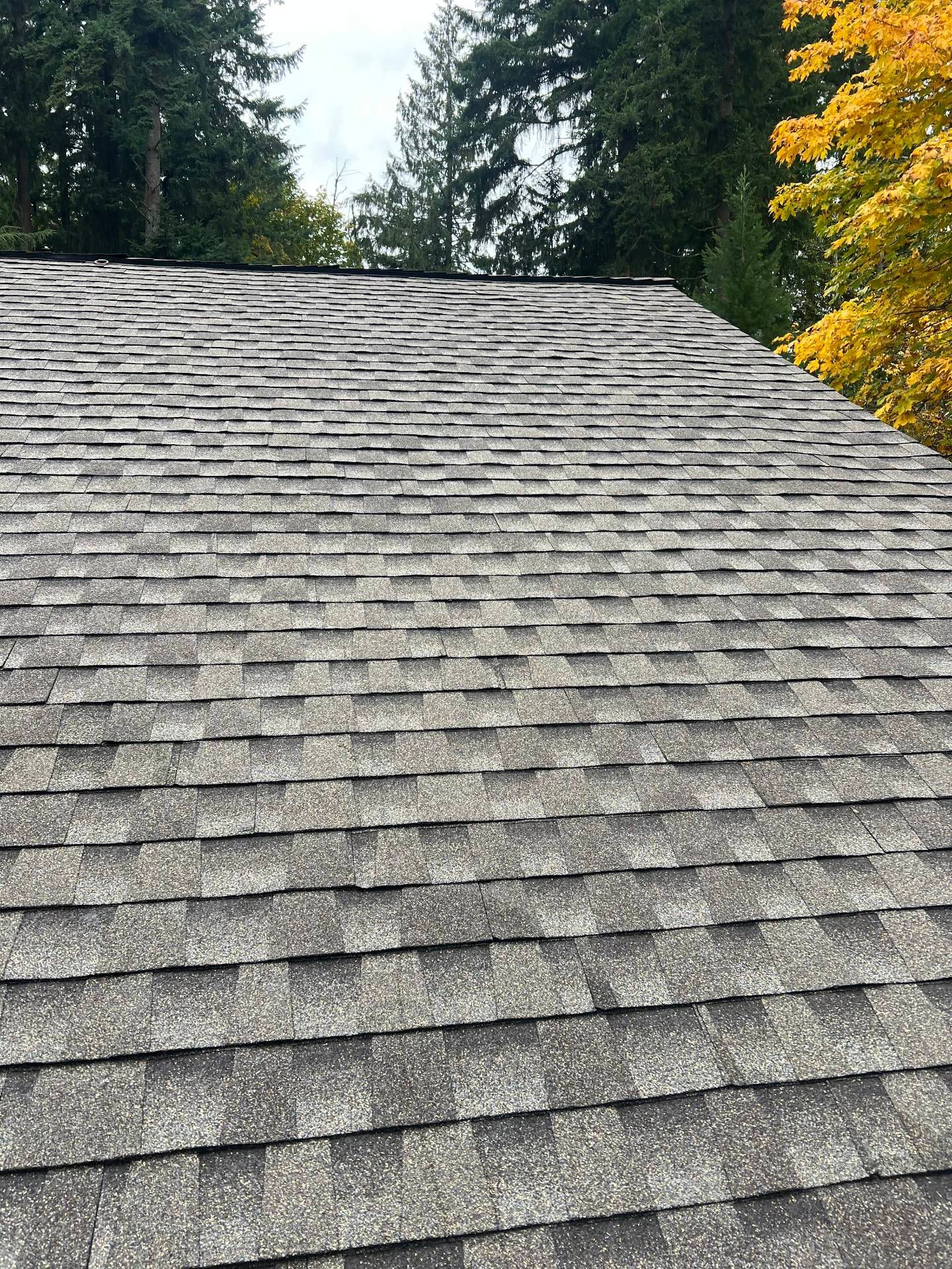 Mission Brown HDZ GAF Roof with Fall Roof