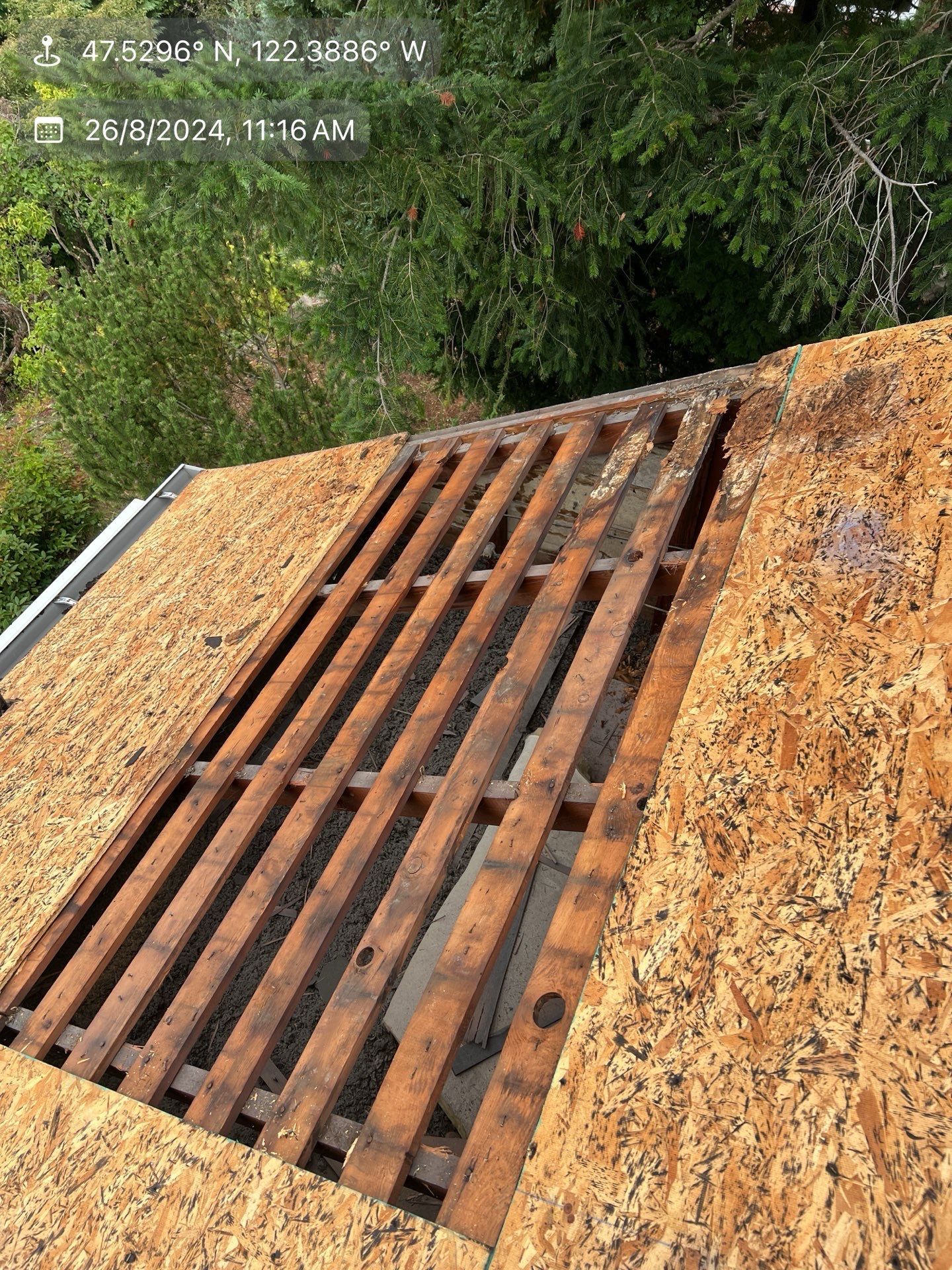 Roof with missing sections, showing exposed wooden beams and sheathing. Green trees in background.