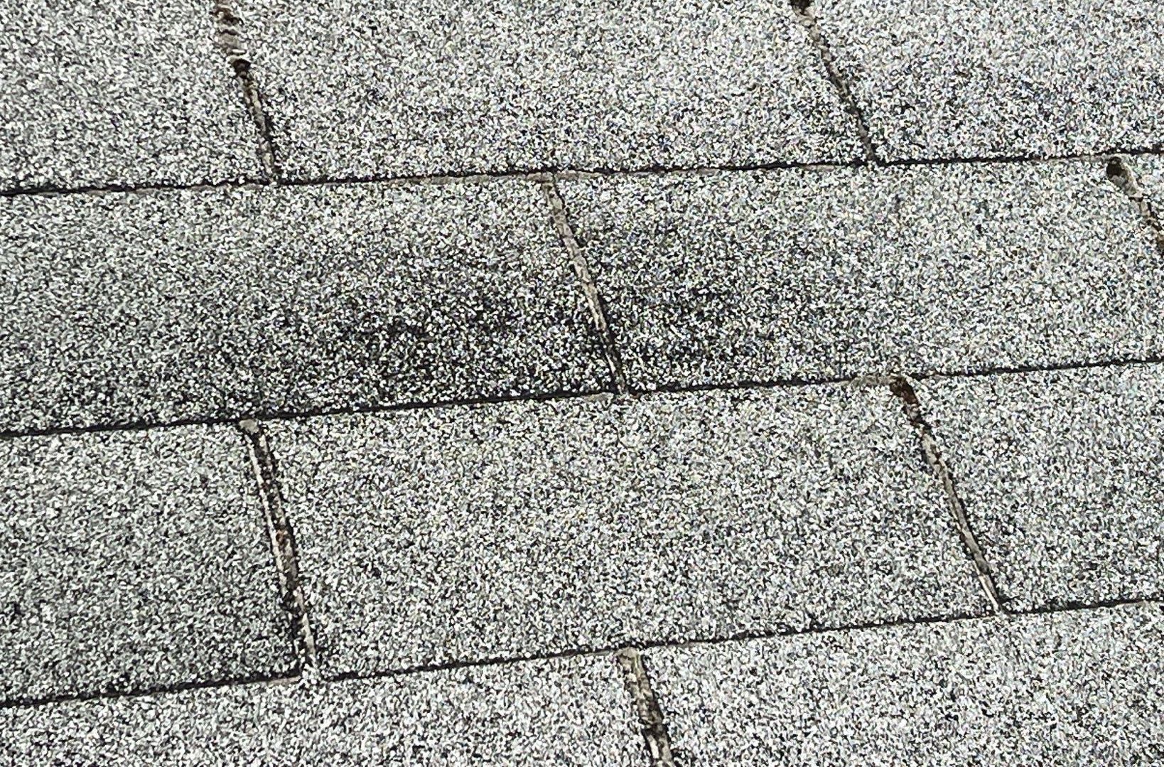 Before Pictures in Lakewood, WA