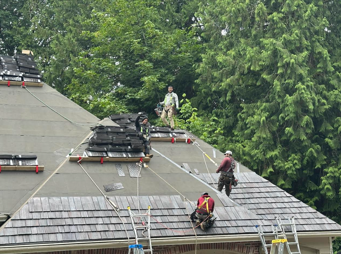 Roofers working on a house roof. They are using safety harnesses and ladders. Green trees in the background.