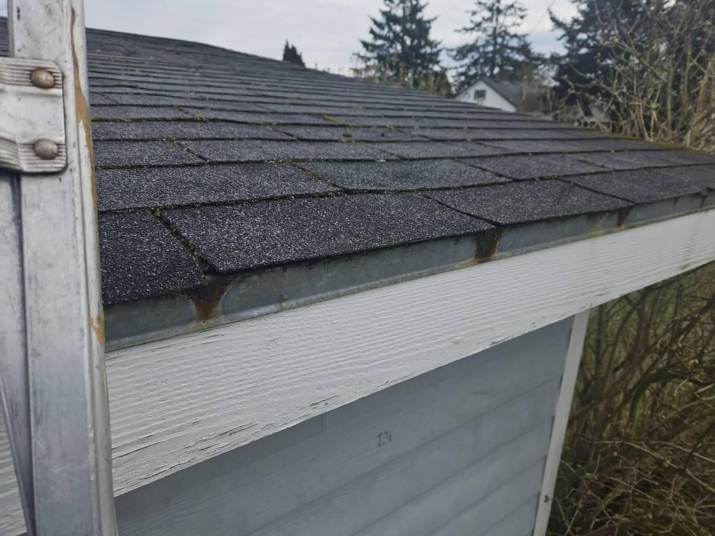 Close-up of a roof with black asphalt shingles and a white gutter. A ladder is in the frame.