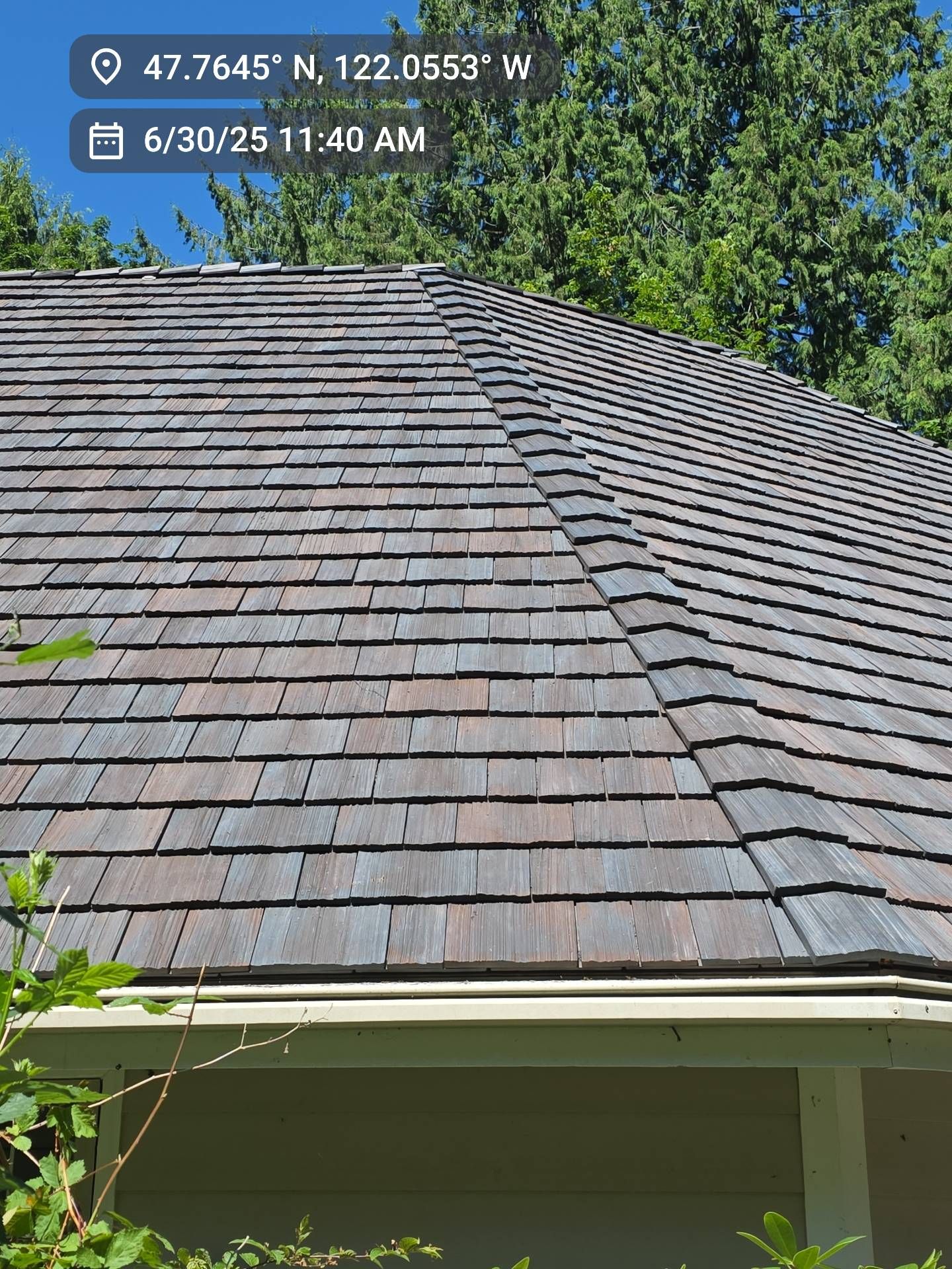 Wooden shingle roof with varying shades of brown, green foliage in background.