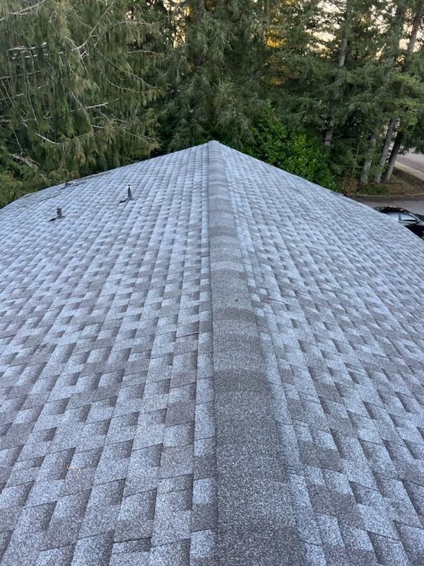 Affordable asphalt shingle roofing solutions in Kent, WA.