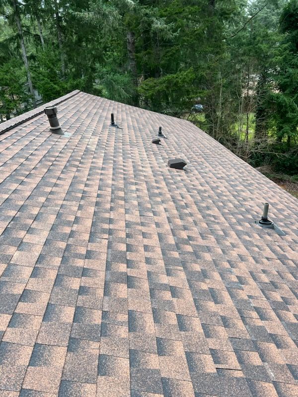 Affordable asphalt shingle roofing solutions in Kent, WA.