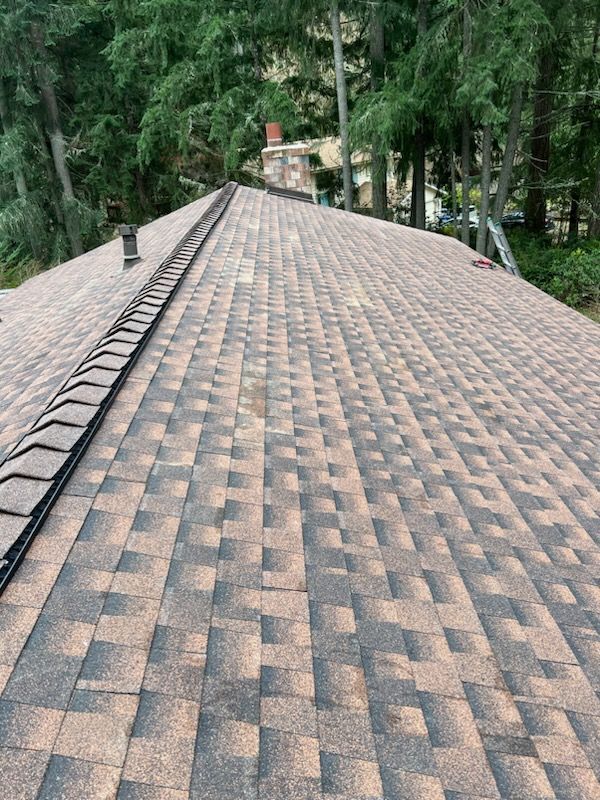 Affordable asphalt shingle roofing solutions in Kent, WA.
