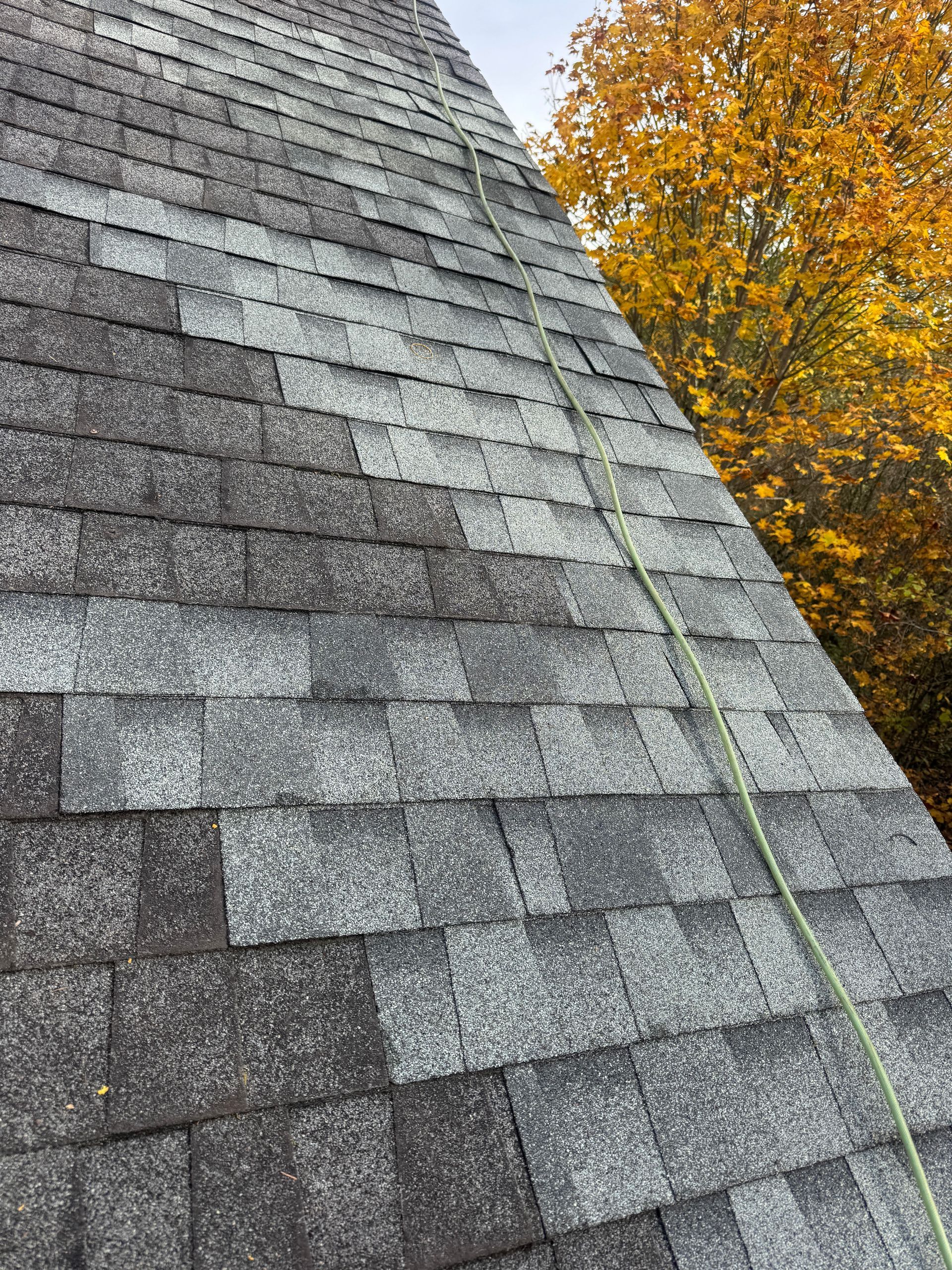 Close-up of a weathered shingle roof with a safety rope, and a tree with golden leaves in the background.