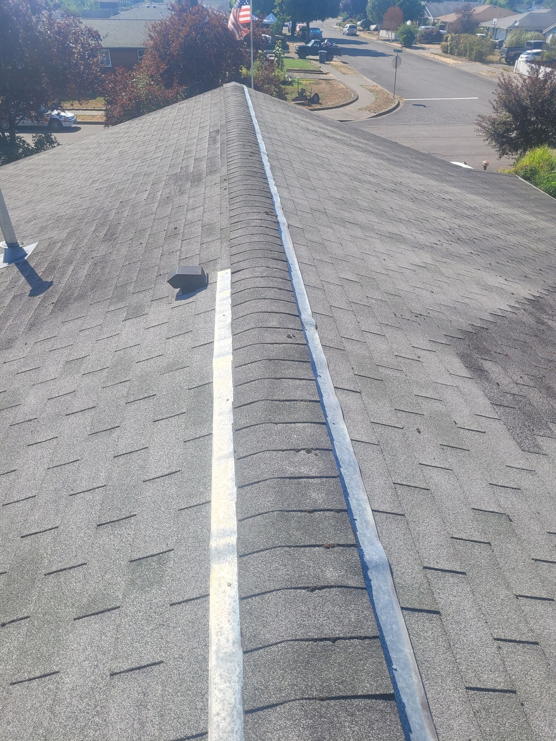 Affordable asphalt shingle roofing solutions in Kent, WA.