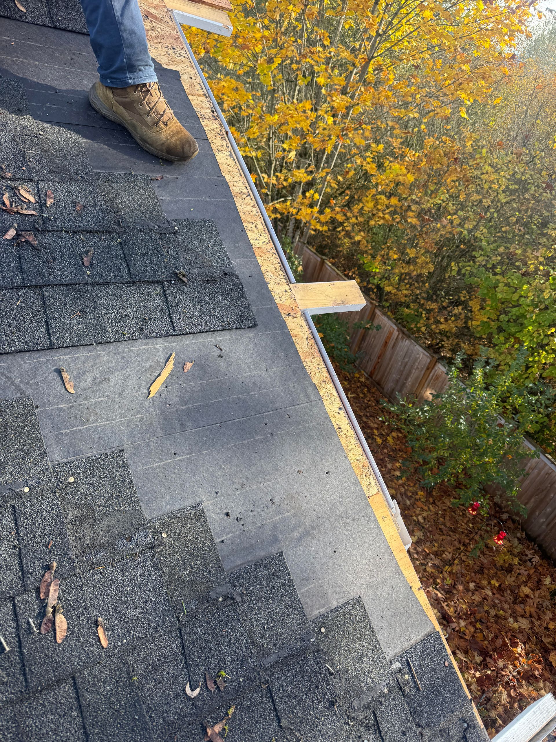 Person standing on a shingled roof next to an exposed edge, autumn leaves visible below.