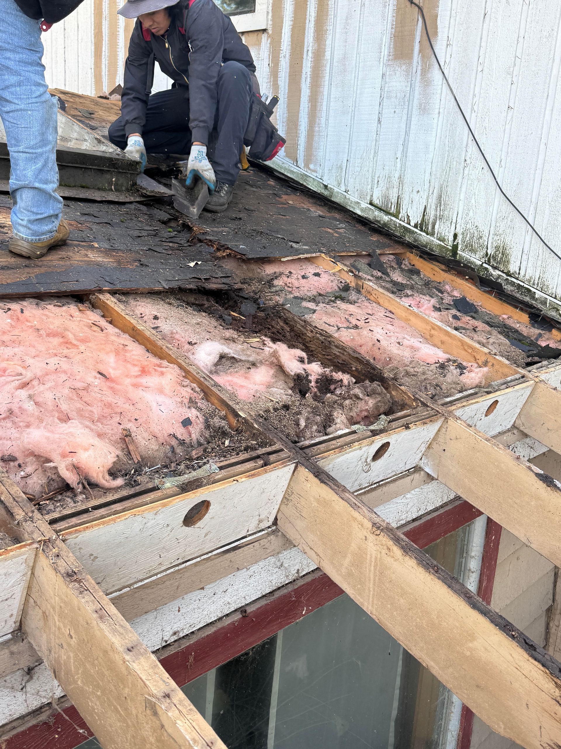Workers removing roofing material from a roof structure; exposed pink insulation and wooden beams visible.