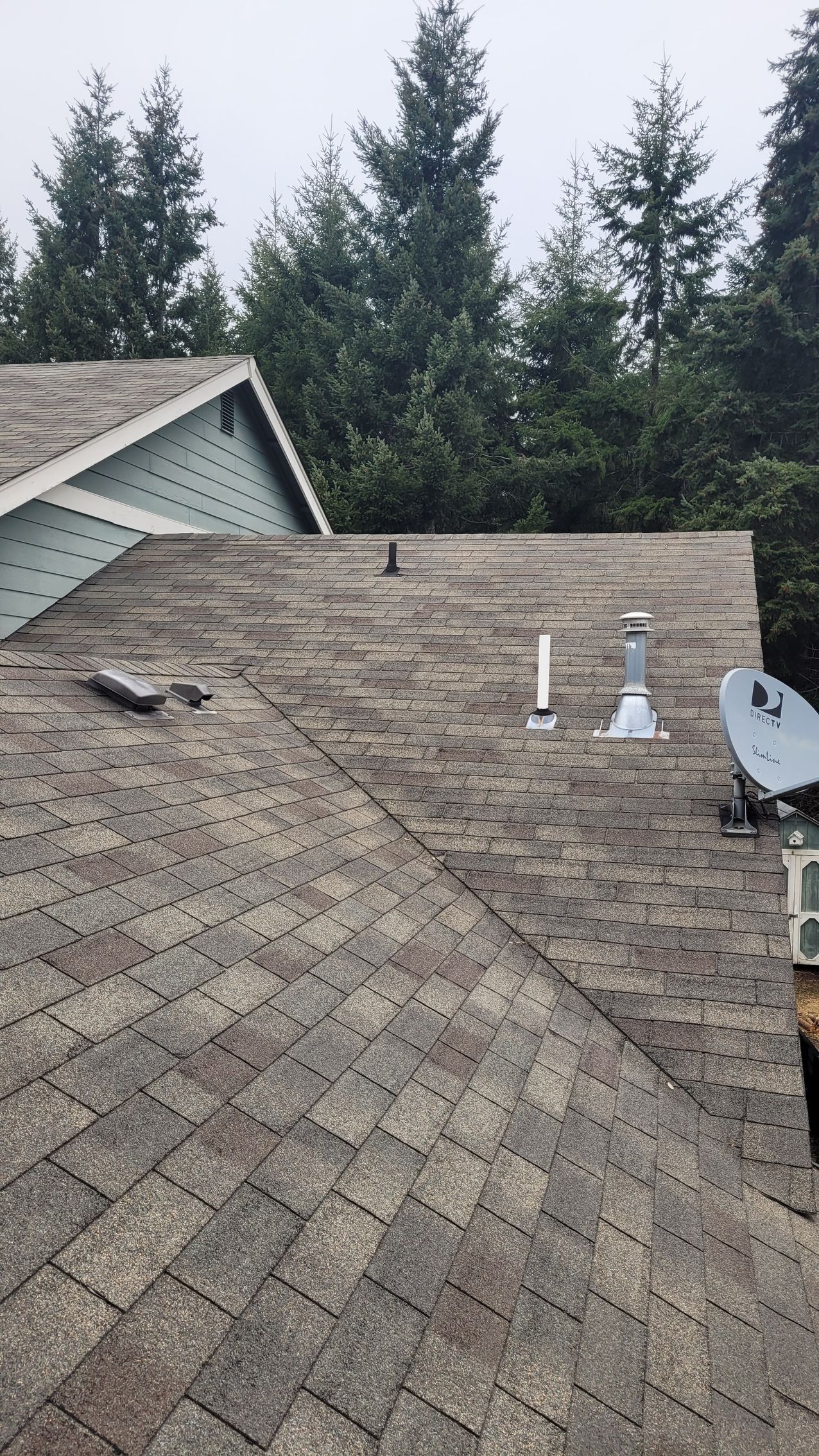 Damaged asphalt shingles before repair by Team Roofing NW in Kent, WA.