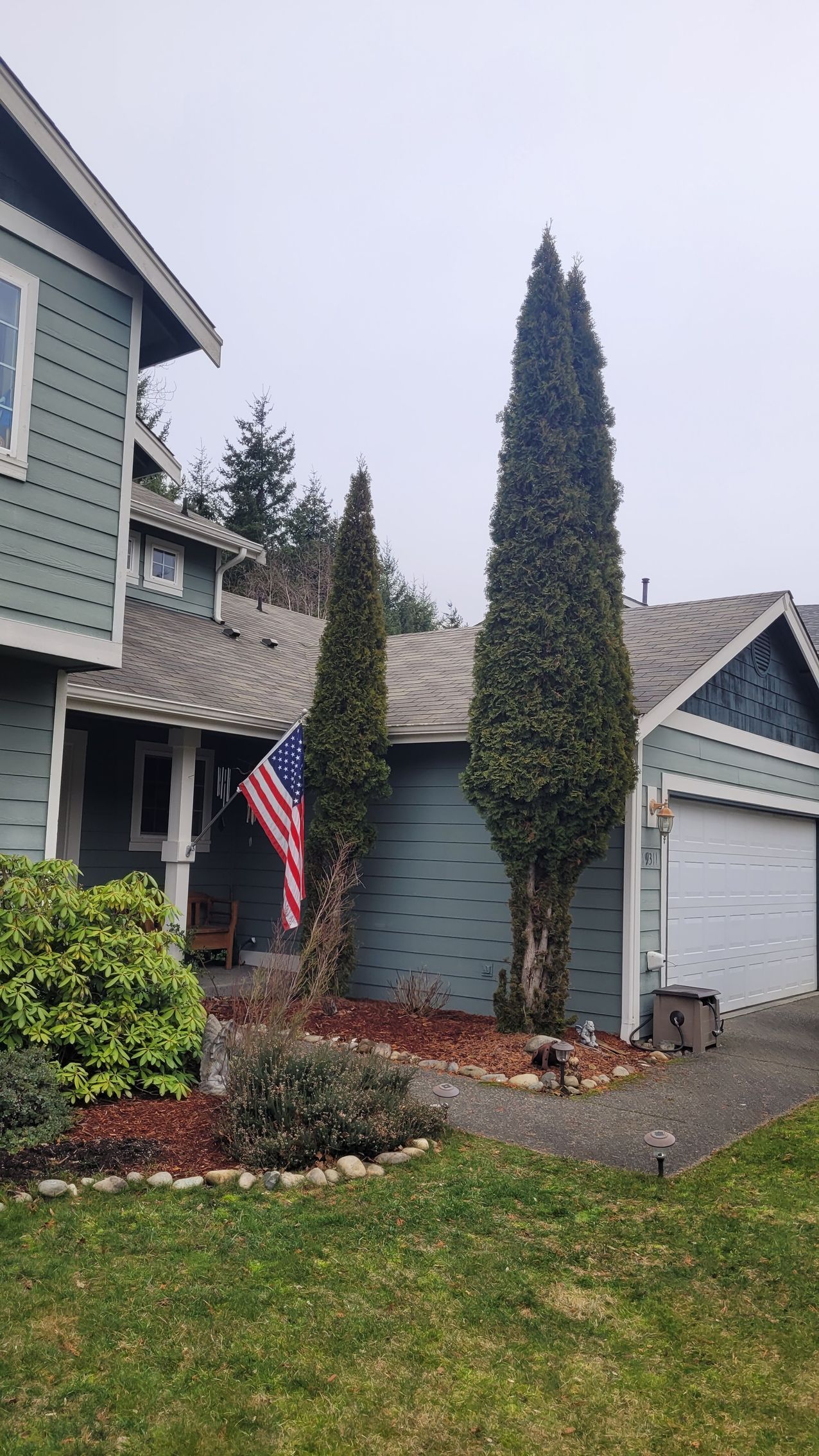 Damaged asphalt shingles before repair by Team Roofing NW in Kent, WA.