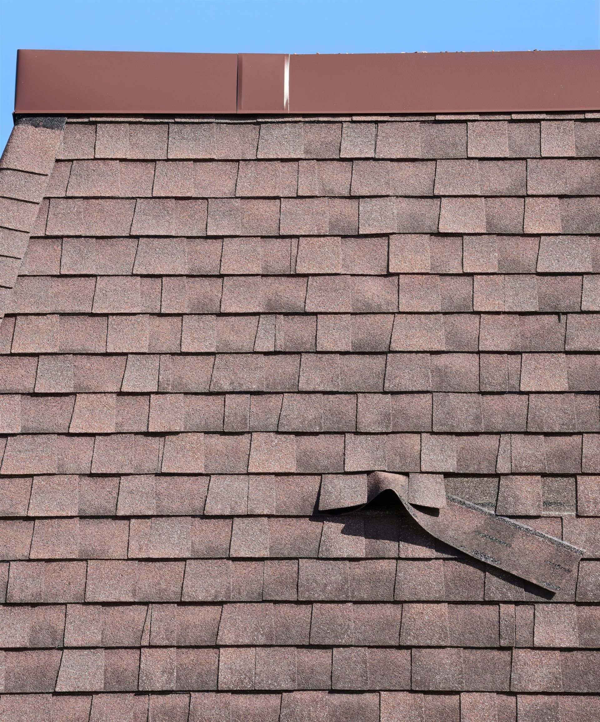 shingle roofing services in Holt, MI