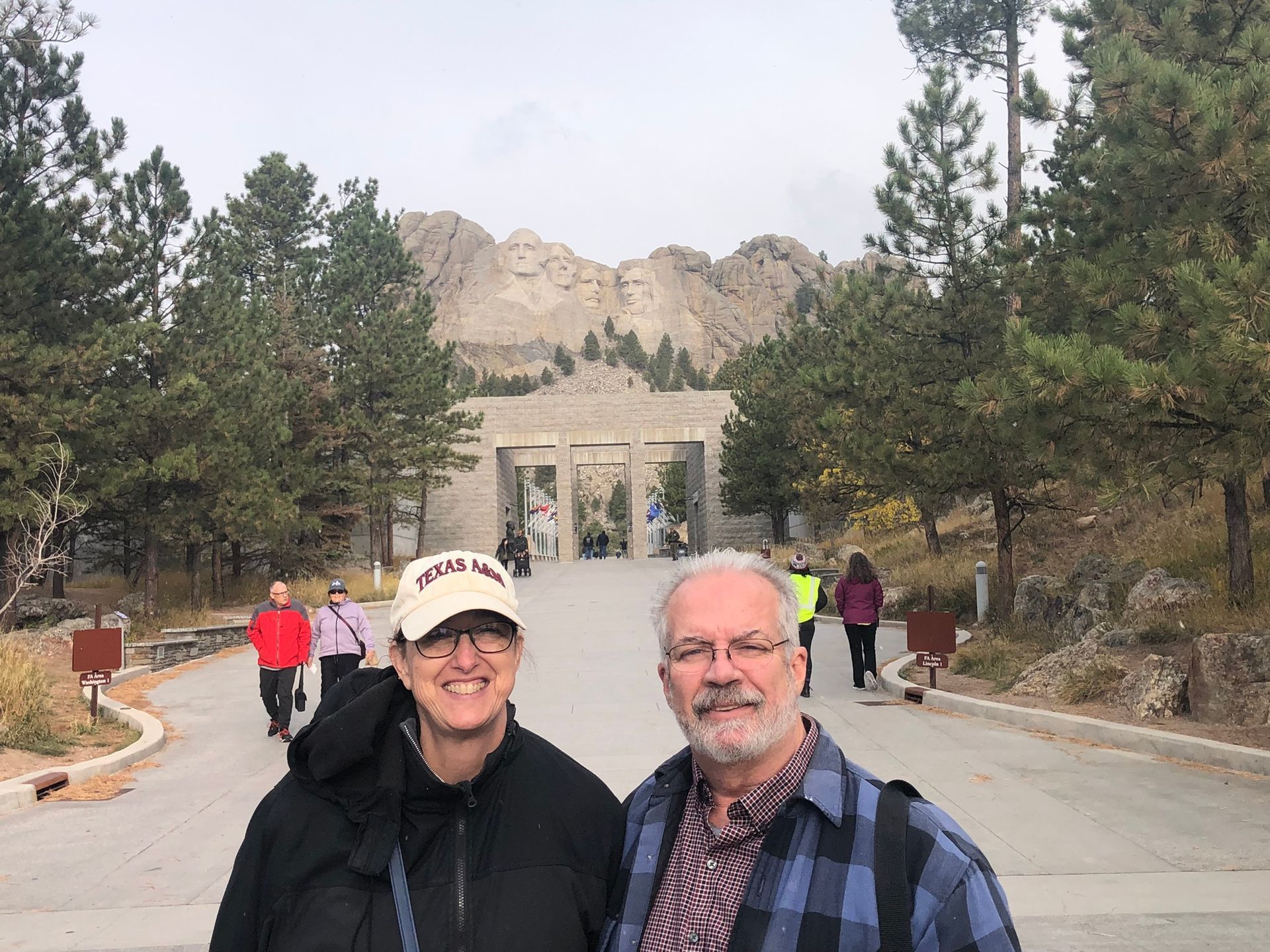 Professional Inspectors