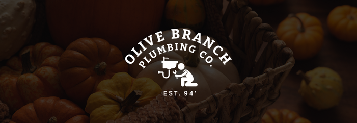 Olive Branch Plumbing Co. Fall Blog Post