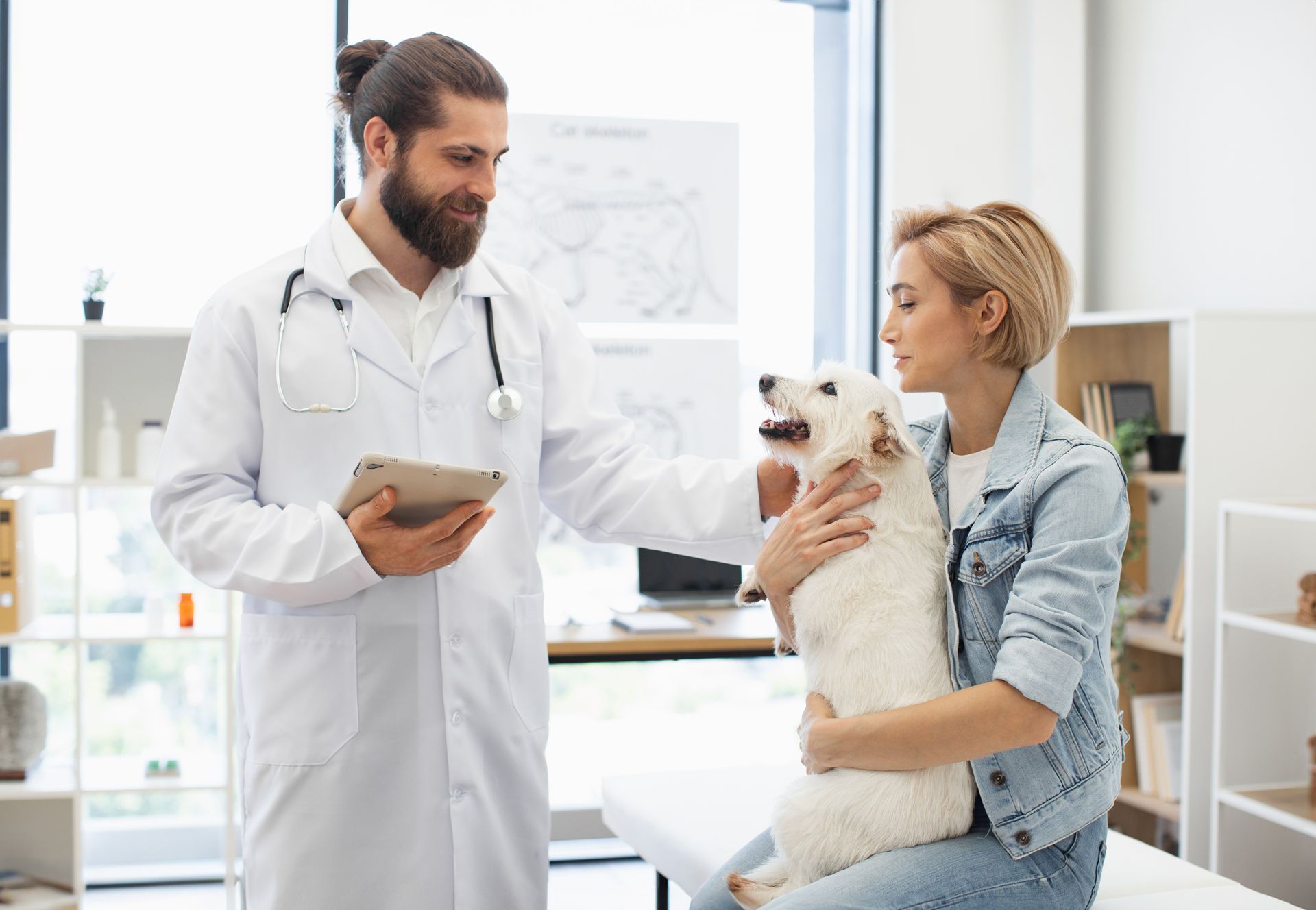 A veterinarian examining a golden retriever dog in the office of a modern animal care hospital. Smiling pet owner showing her dog to the vet over a counter at a vet hospital