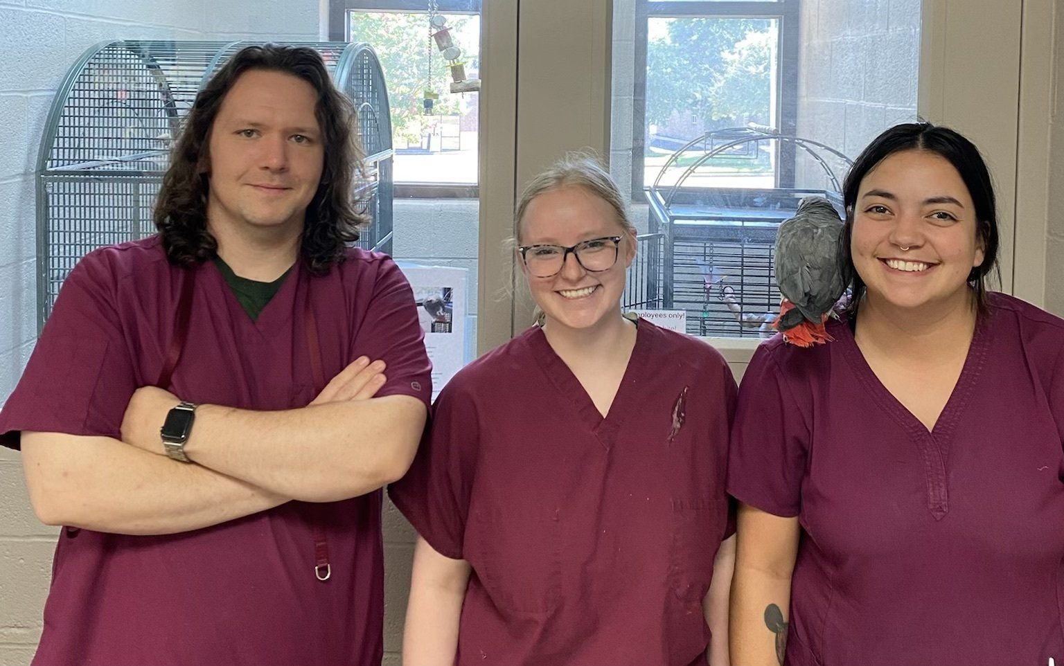 Dog Grooming — Bartlett, TN — Wolfchase Animal Hospital