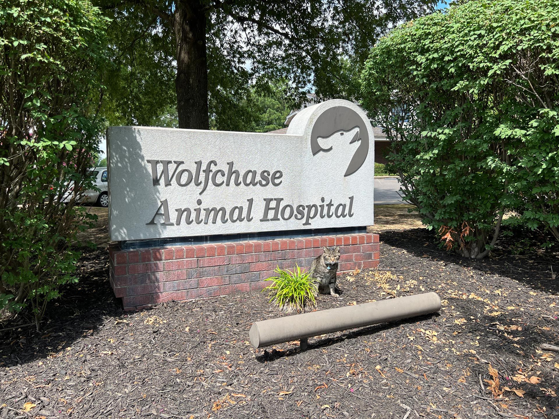 Engraved Logo — Bartlett, TN — Wolfchase Animal Hospital