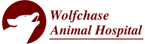 Veterinarian Services Near Arlington, TN Veterinarian Services Near Arlington, TN