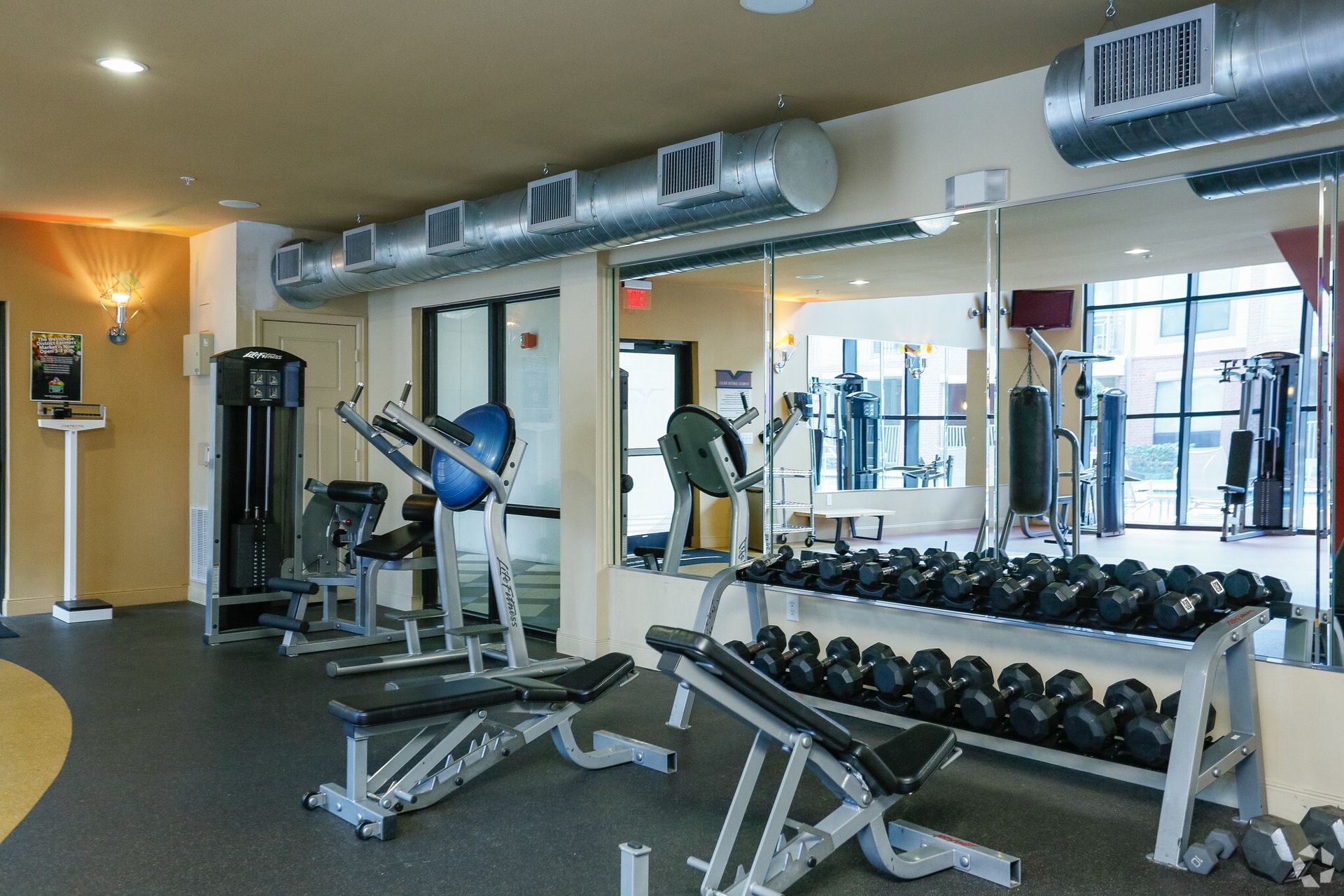 Gym interior with weights, machines, and mirrors.