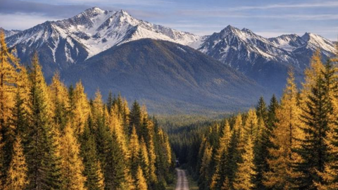 aaron-goodman-anderson-purewest-real-estate-agent-megamenu-lifestyle-and-land-advisory-image