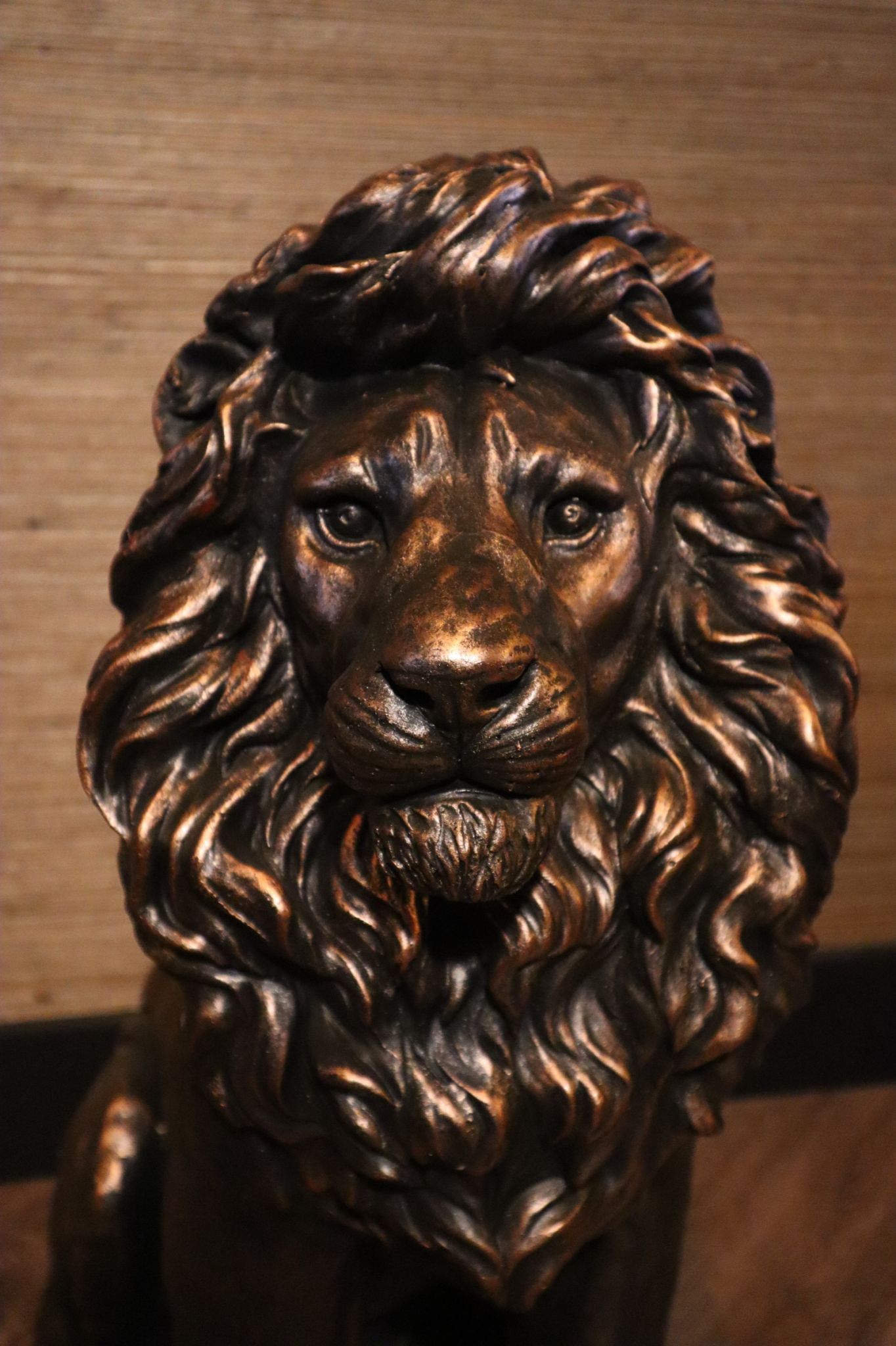 Leeuwenbeeld–zittend–bronskleur–60 cm hoog–binnen en buiten