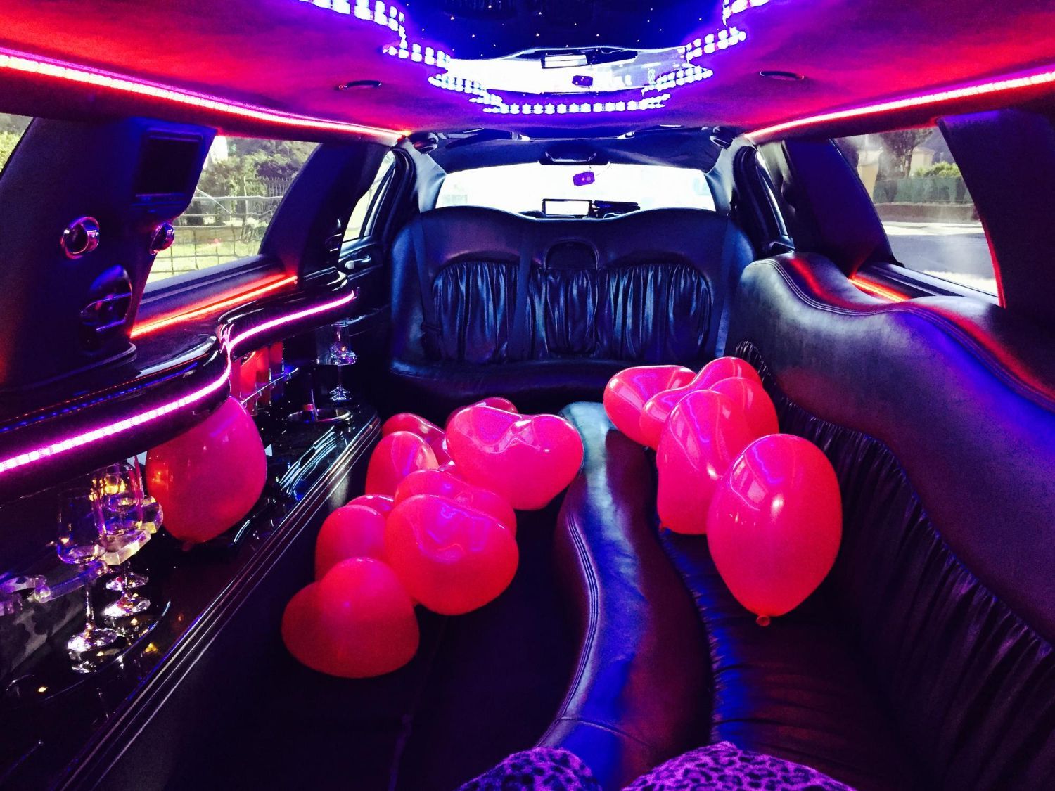 birthday party bus