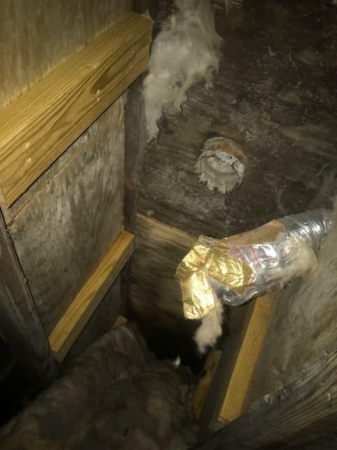Inside Dirty Vent - Bluffton, SC - Ugly Duct Cleaning