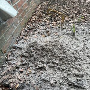 Gray Dirty Vent Outside - Bluffton, SC - Ugly Duct Cleaning