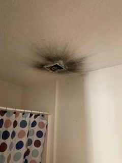 Dirty Vent - Bluffton, SC - Ugly Duct Cleaning