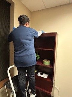 A woman is standing on a ladder cleaning a bookshelf.