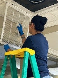 A woman is cleaning a air filter on a ladder.