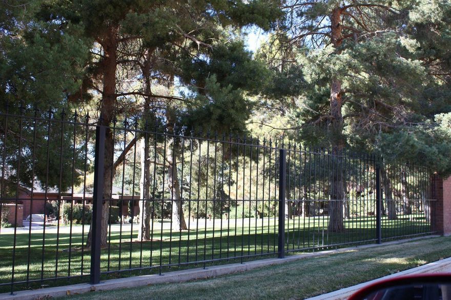 Black metal fence along a grassy lawn, trees in the background.