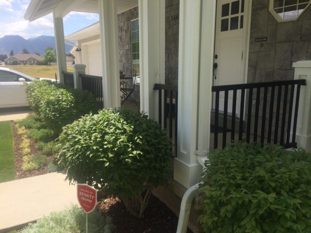 Front porch with black railing, white columns, and green bushes. White car in the background, blue mountains.