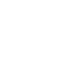 Ecografia mammaria