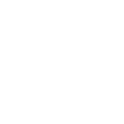 Ecocolor doppler dei vasi epiaortici del collo (carotido-vertebrale)