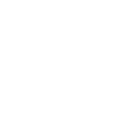 Ecocolor doppler degli arti inferiori sia del versante arterioso che venoso