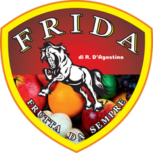FRIDA_logo
