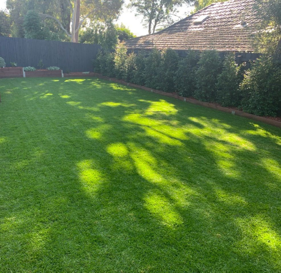 A Lush Green Lawn in Front of a House — Dromana, VIC — I.S.M Concreting & Constructions