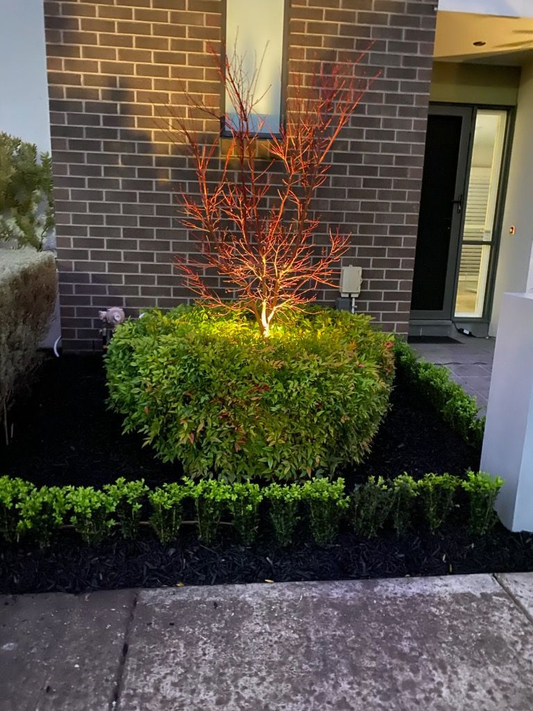 A Brick House With a Small Tree in Front of It — Dromana, VIC — I.S.M Concreting & Constructions