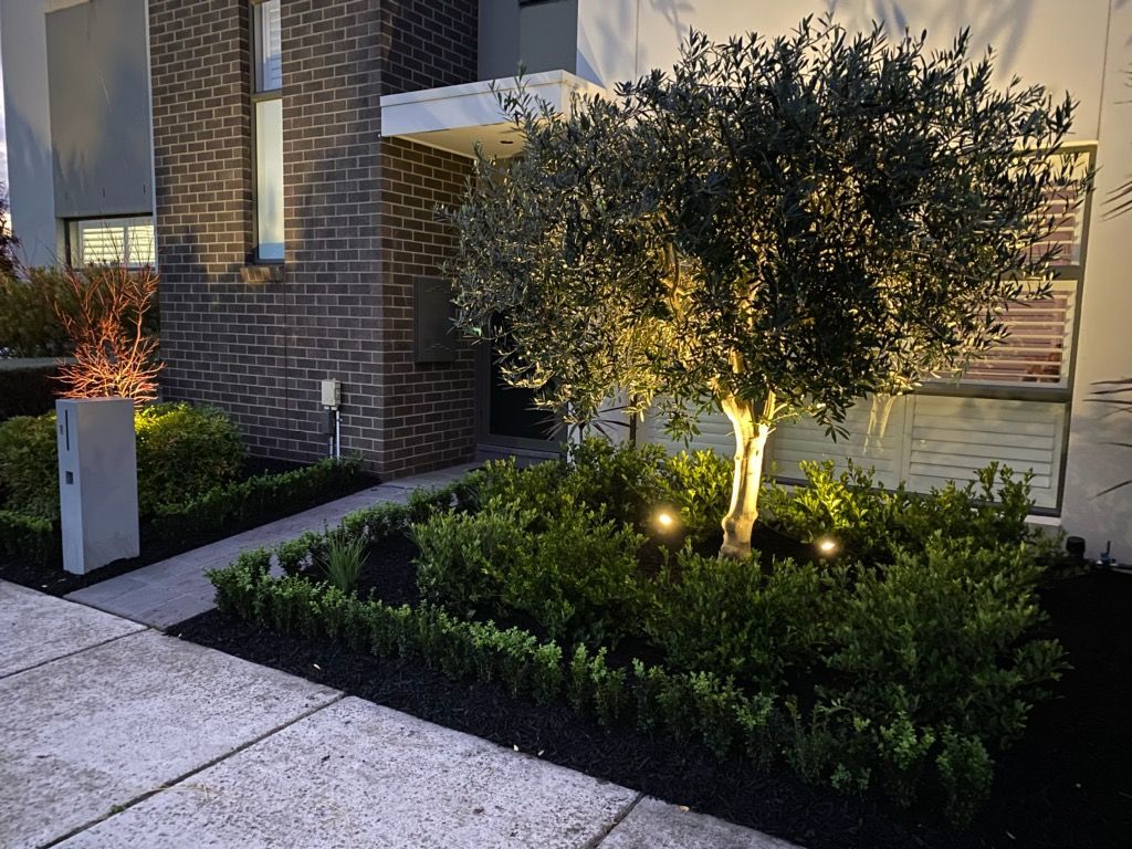 A Tree is Lit Up in Front of a Brick House — Dromana, VIC — I.S.M Concreting & Constructions