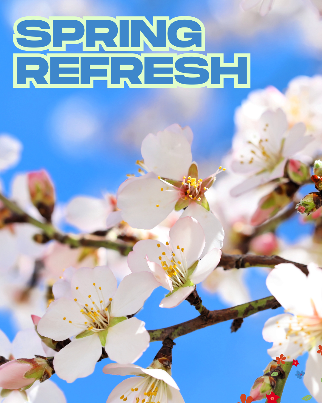 Pink and white spring blossom in the sun with the words 