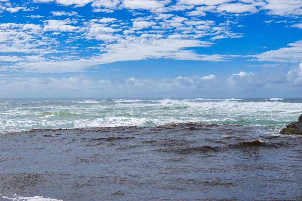 A View Of The Ocean From A Rocky Beach On A Cloudy Day — Kingscliff Pool Shop In Kingscliff, NSW